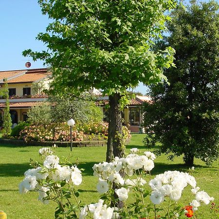 Fattoria Belvedere ベラーリア・イジェア・マリーナ エクステリア 写真