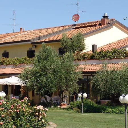 Fattoria Belvedere ベラーリア・イジェア・マリーナ エクステリア 写真