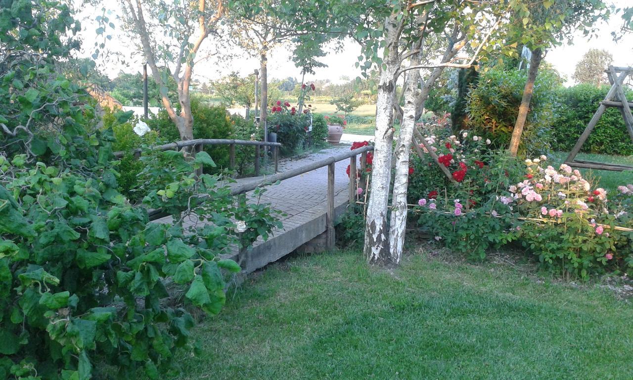 Fattoria Belvedere ベラーリア・イジェア・マリーナ エクステリア 写真