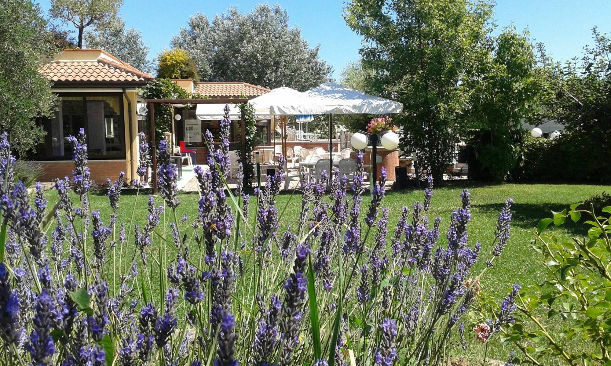 Fattoria Belvedere ベラーリア・イジェア・マリーナ エクステリア 写真